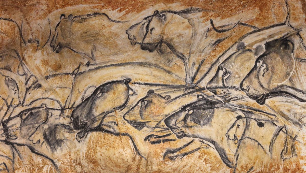 camping du vignal activités en sud ardeche grotte chauvet 2 vallon pont d'arc pour vivre la slow life en Ardeche