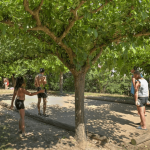 camping familial camping glamping terrain de petanque pour vivre la slow life en Ardeche