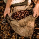 Chataignes dans les Cévennes pour vivre la slow life en Ardeche