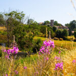 Randonnée dans les Cévennes pour vivre la slow life en Ardeche