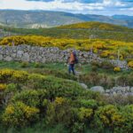 Randonnée dans les Cévennes pour vivre la slow life en Ardeche